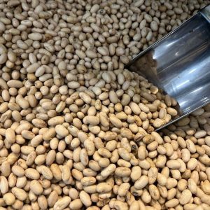 agil-soya