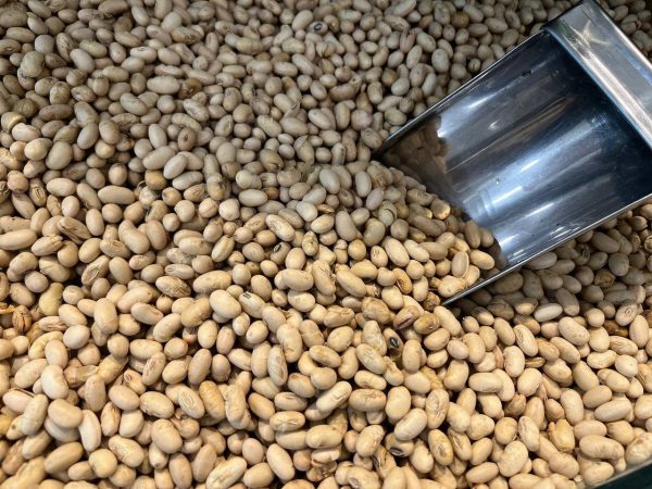 agil-soya